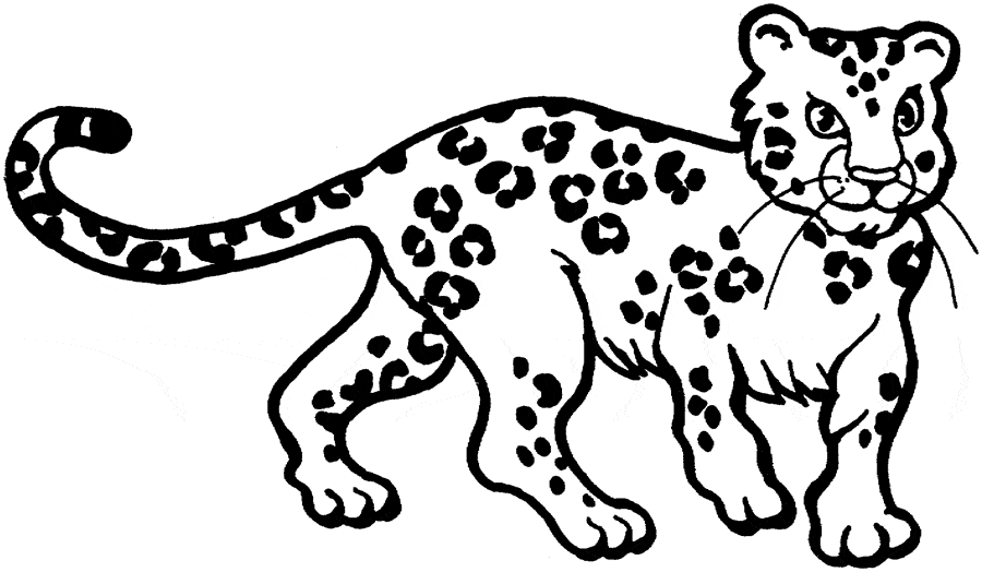 pictures of leopards to print coloring page leopard free printable downloads from of to pictures leopards print 
