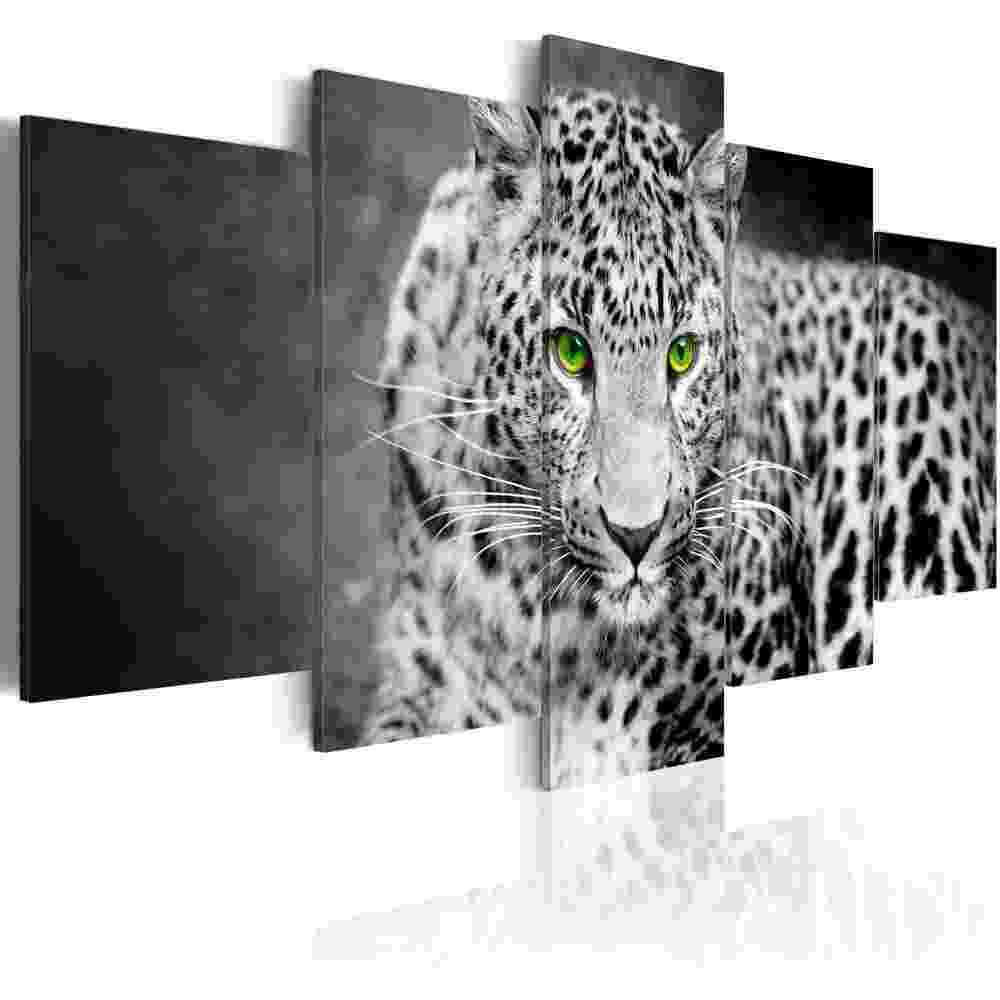 pictures of leopards to print kolorowanka leopard afrykański kolorowanki dla dzieci do leopards of print pictures to 