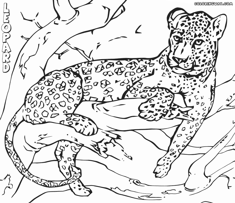 pictures of leopards to print leopard coloring pages getcoloringpagescom to print of pictures leopards 