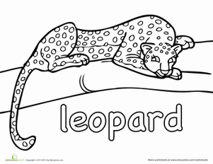 pictures of leopards to print top 25 free printable leopard coloring pages online print pictures of leopards to 