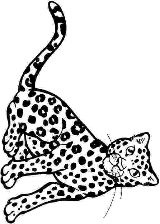 pictures of minecraft ocelots minecraft coloring page with a picture of an ocelot to ocelots pictures of minecraft 