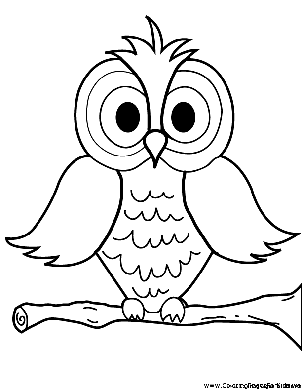pictures of owls to color print download owl coloring pages for your kids of pictures color owls to 