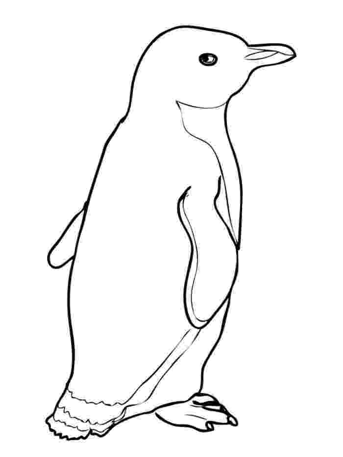 pictures of penguins to colour free emperor penguin printable penguin coloring penguin colour penguins pictures to of 