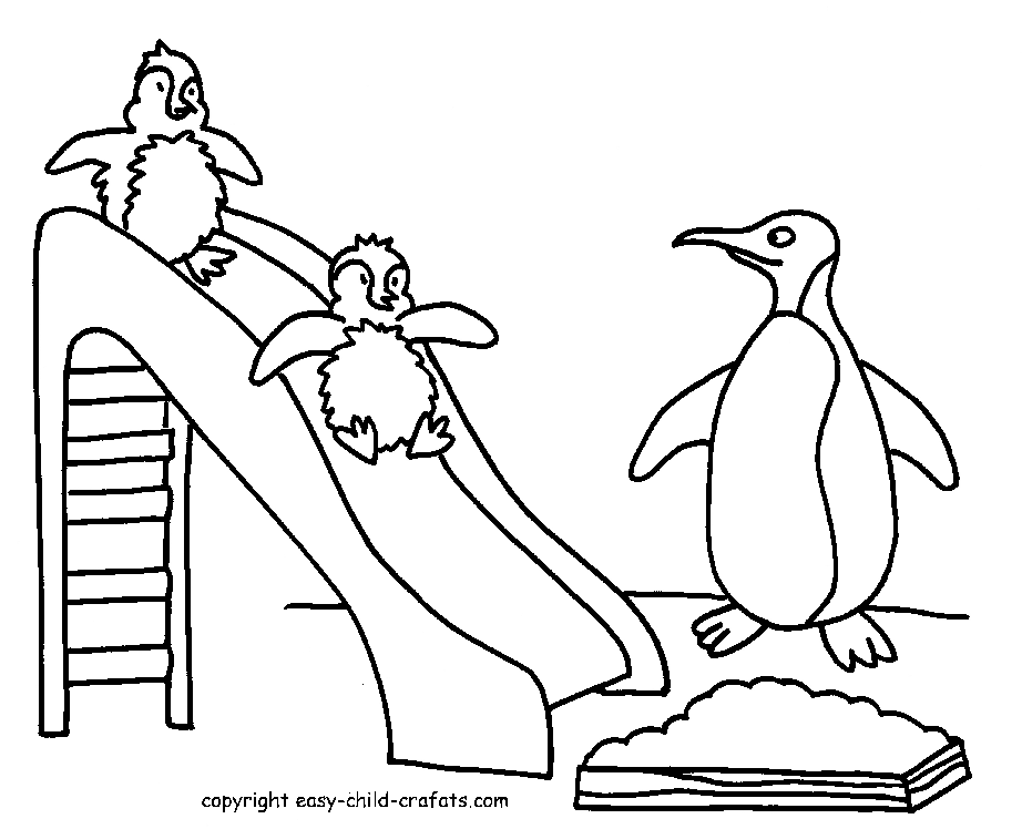 pictures of penguins to colour free printable penguin coloring pages for kids to of pictures colour penguins 