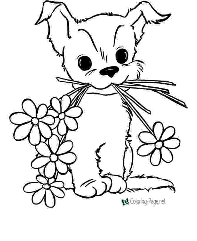 pictures to color of flowers flower coloring pages for kids flowers color to of pictures 