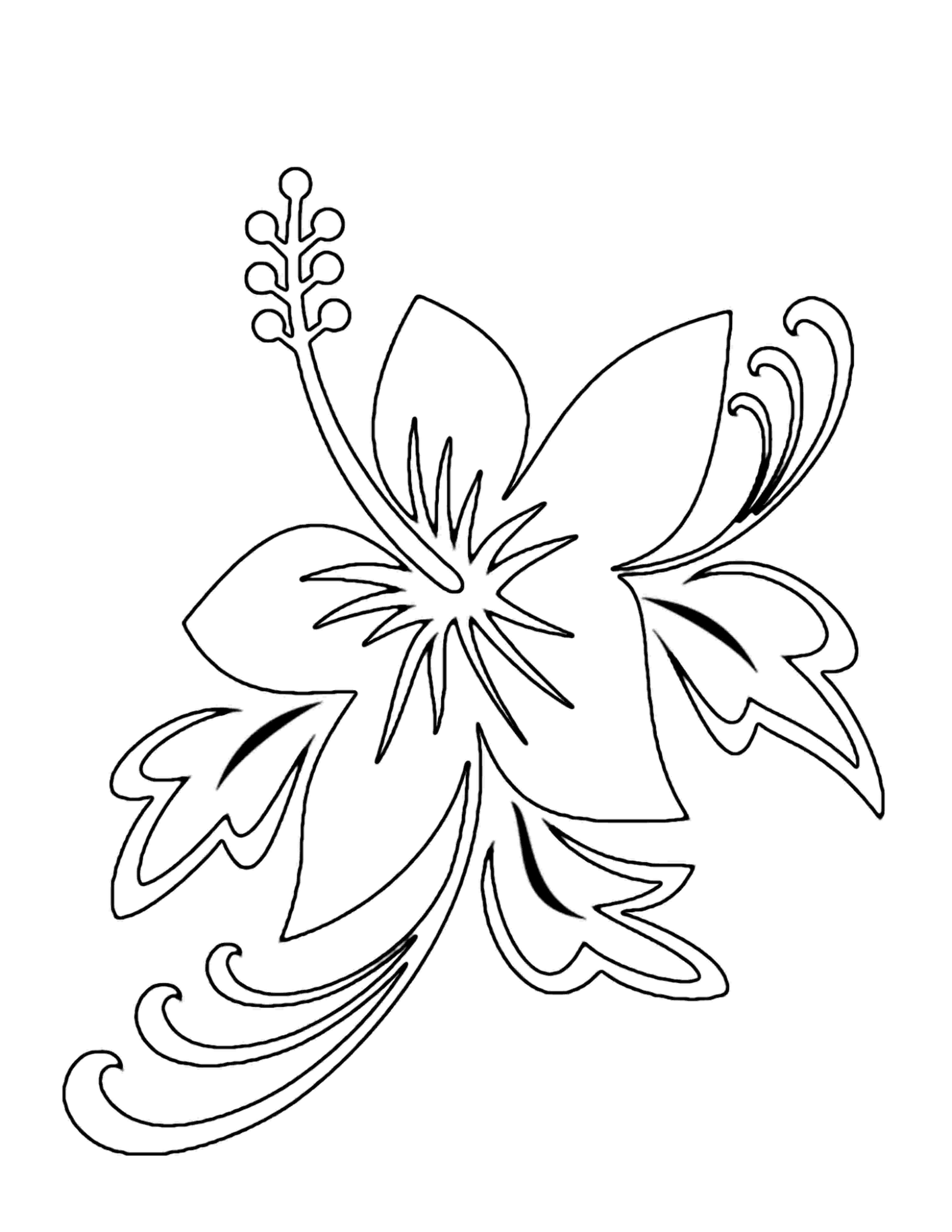 pictures to color of flowers flower pictures to print and color to color flowers of pictures 