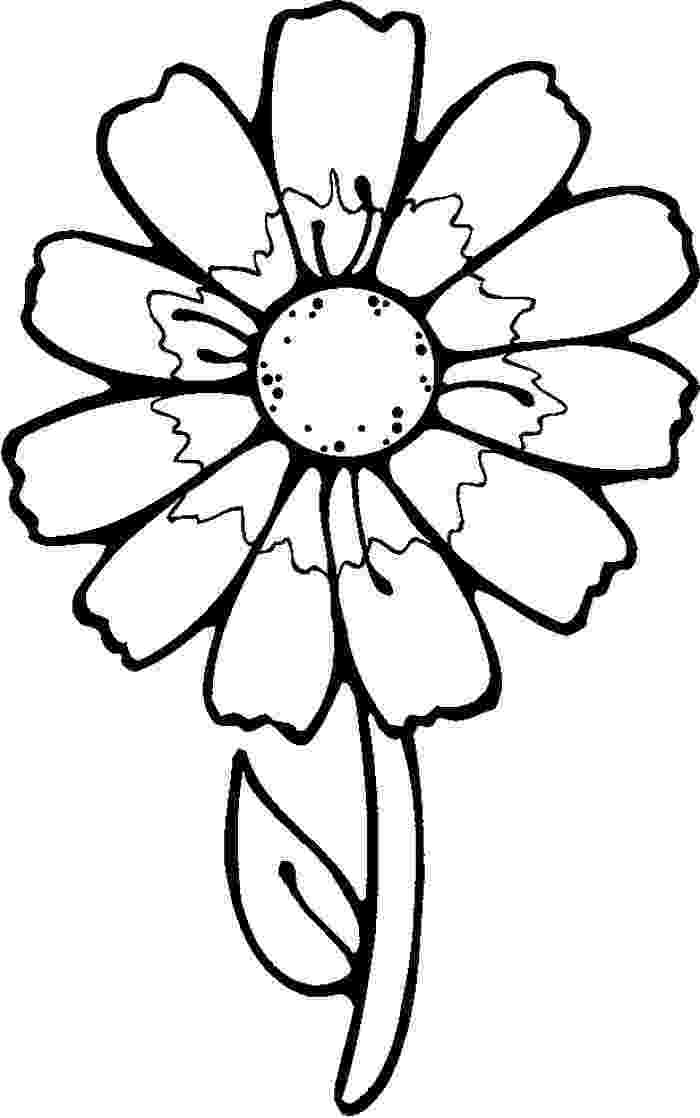 pictures to color of flowers free get well images free download free clip art free of flowers to pictures color 