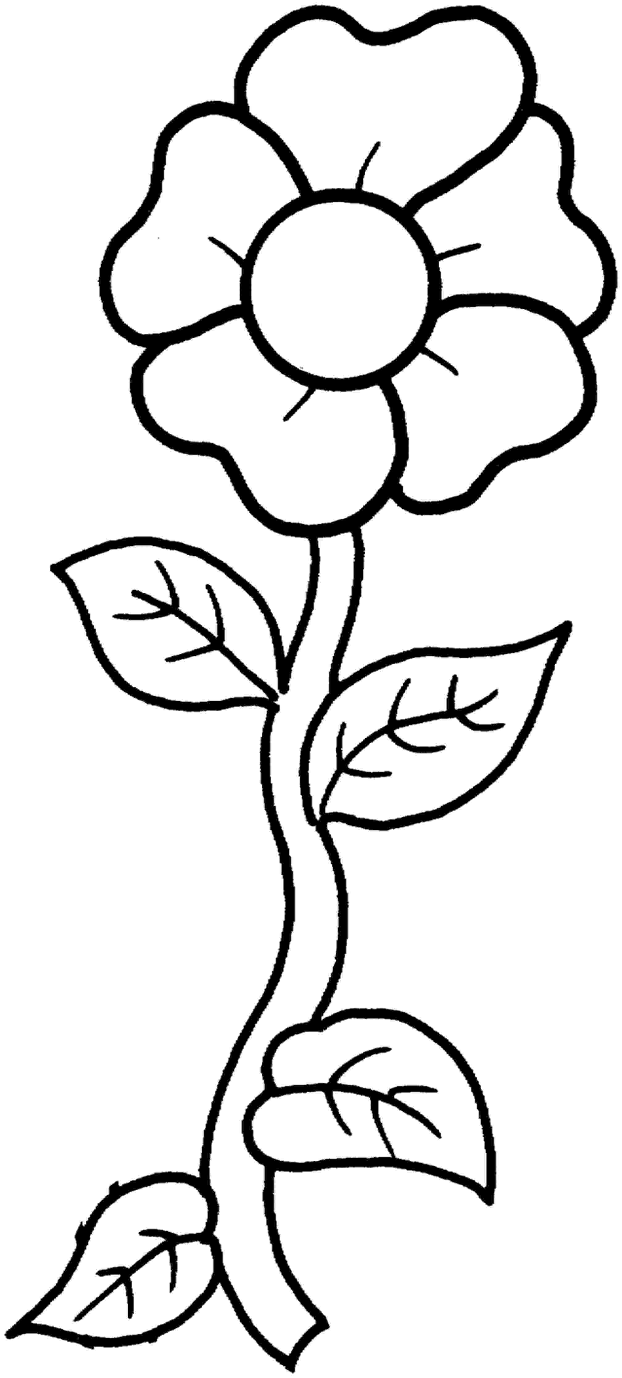 pictures to color of flowers free printable flower coloring pages for kids best to flowers of color pictures 