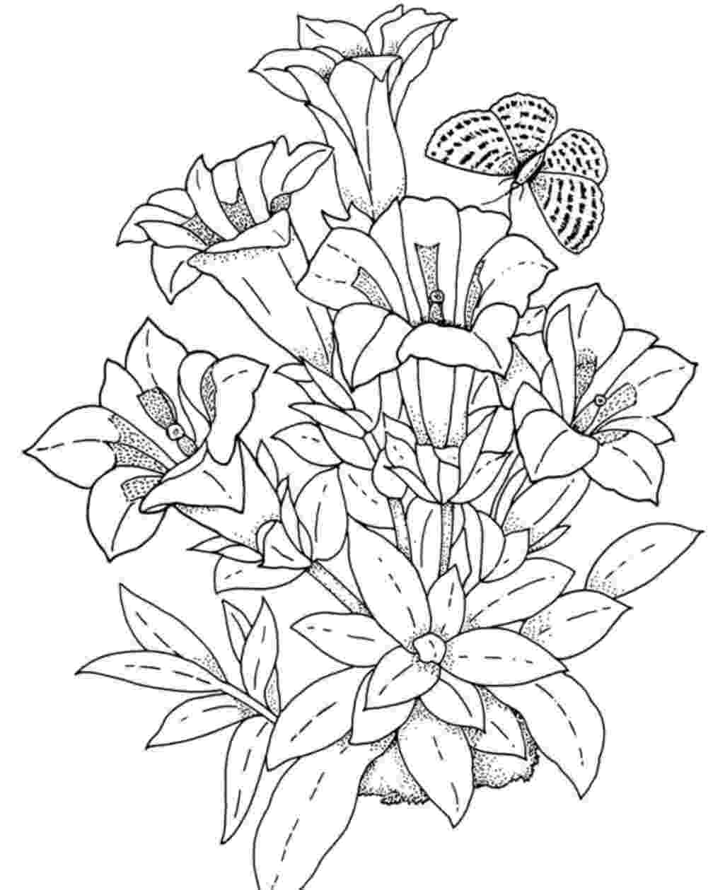 pictures to color of flowers free printable flower coloring pages for kids cool2bkids of to pictures flowers color 