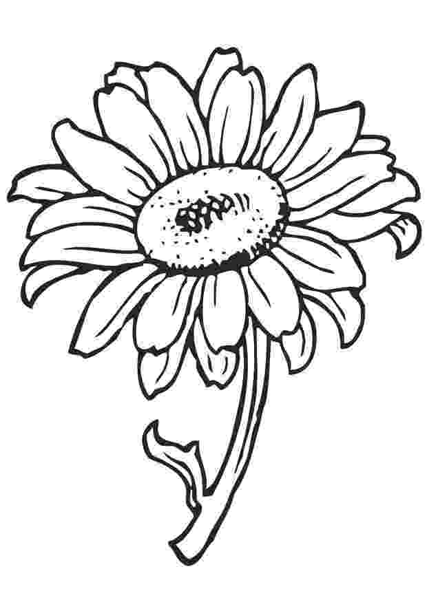 pictures to color of flowers sunflower to color to of pictures flowers color 