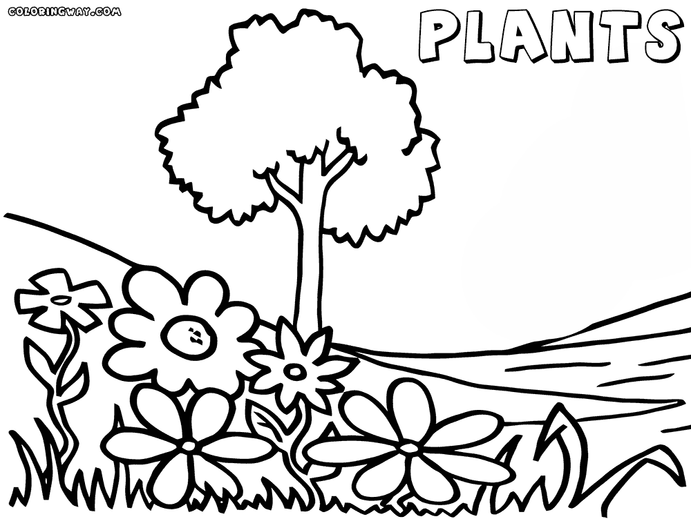 plant colouring sheets plant coloring pages coloring pages to download and print sheets colouring plant 1 1