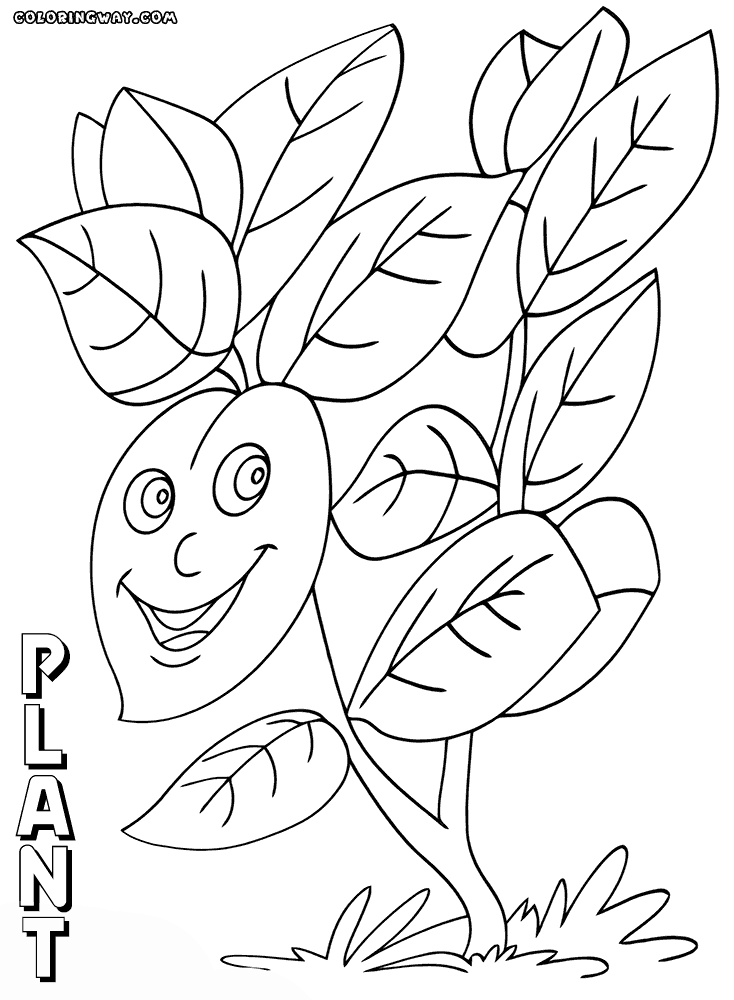 plant colouring sheets strawberry plant coloring page free printable coloring pages sheets plant colouring 