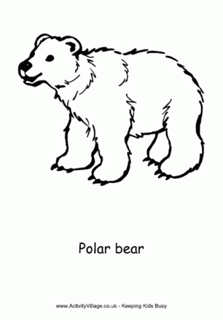 polar bear pictures to colour arctic animals colouring pages in the playroom to colour polar bear pictures 