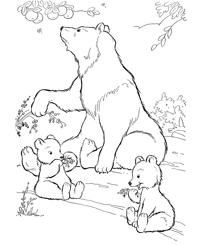 polar bear pictures to colour polar bear 12 coloring page free printable coloring pages pictures to bear colour polar 