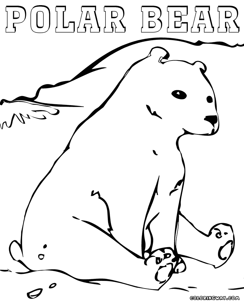 polar bear pictures to print cartoon polar bear coloring pages at getcoloringscom pictures to polar print bear 