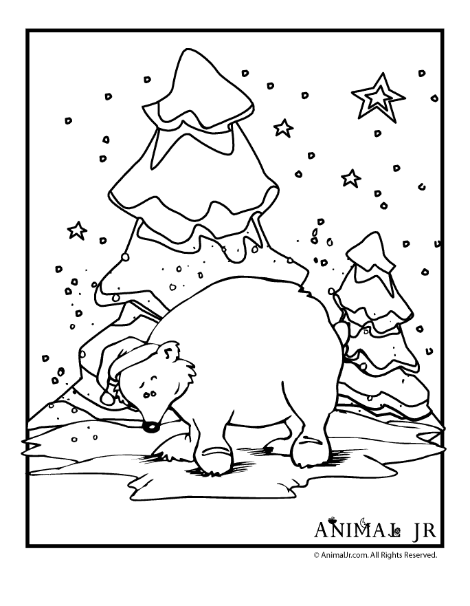 polar bear pictures to print free printable polar bear coloring pages for kids print pictures bear to polar 