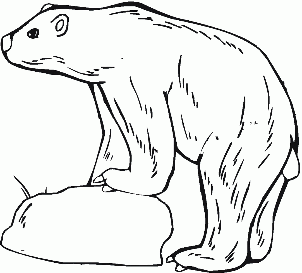 polar bear pictures to print polar bear coloring pages to download and print for free polar bear print pictures to 