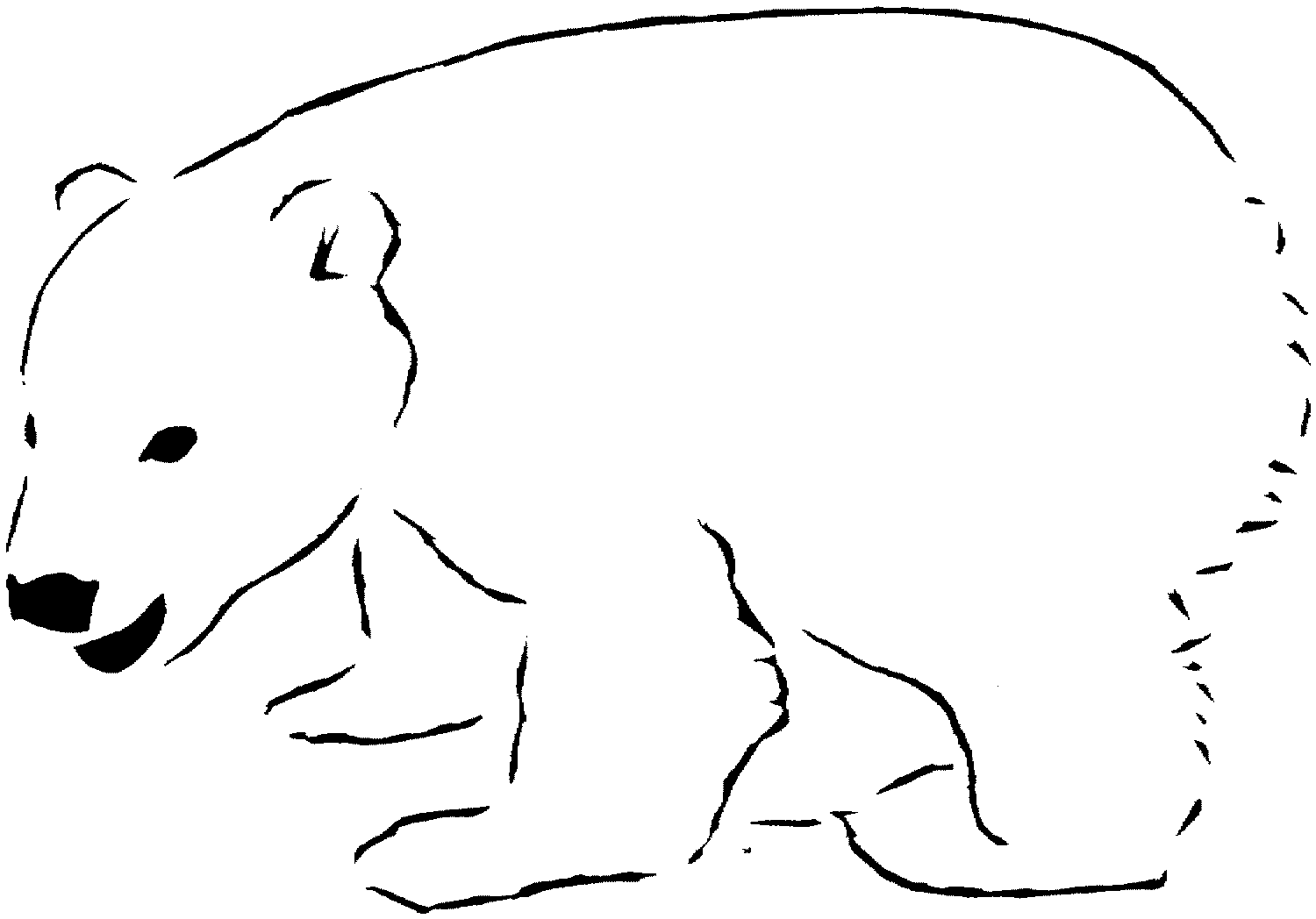 polar bear pictures to print polar bear coloring pages to download and print for free print pictures bear polar to 