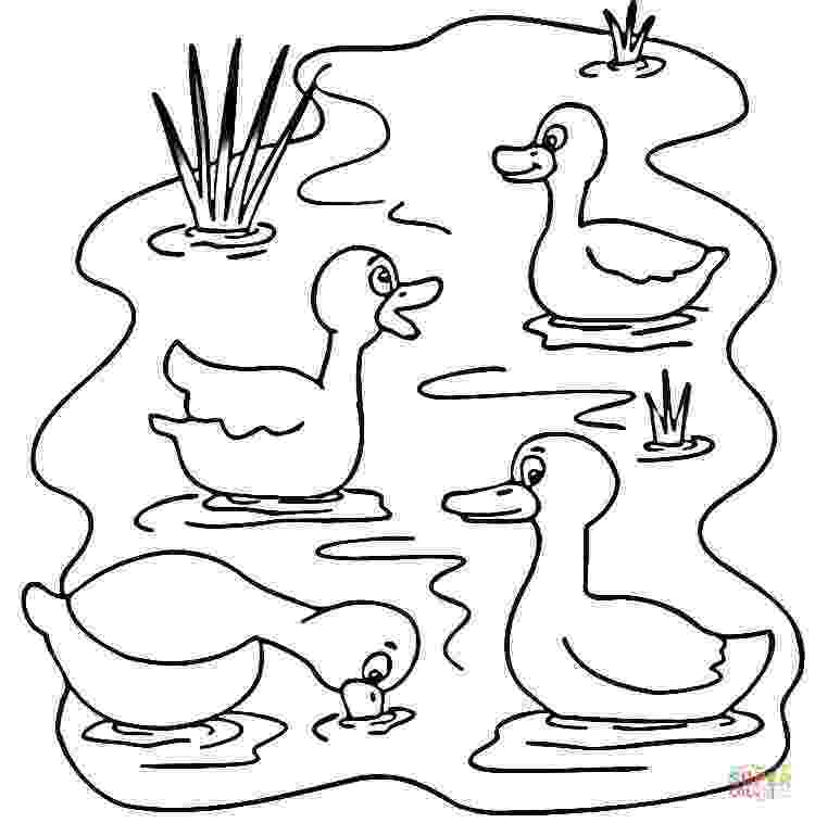 pond pictures to color duck pond black and white clipart clipart kid lily pad to pond pictures color 