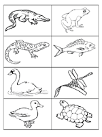 pond pictures to color printable pond habitat coloring page sketch coloring page pictures to pond color 