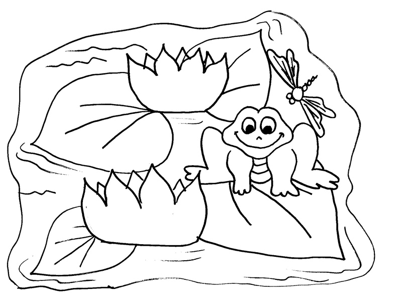 pond pictures to color water lily in pond coloring page download free water to pictures pond color 