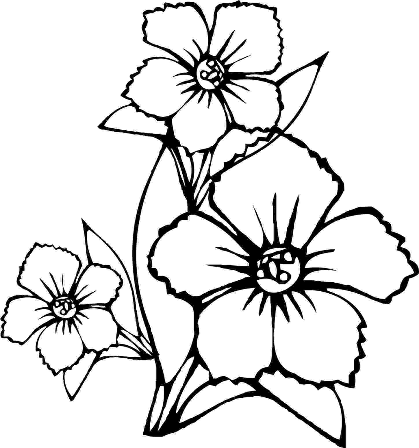 pretty flowers coloring pages beautiful flowers detailed floral designs coloring book flowers coloring pretty pages 