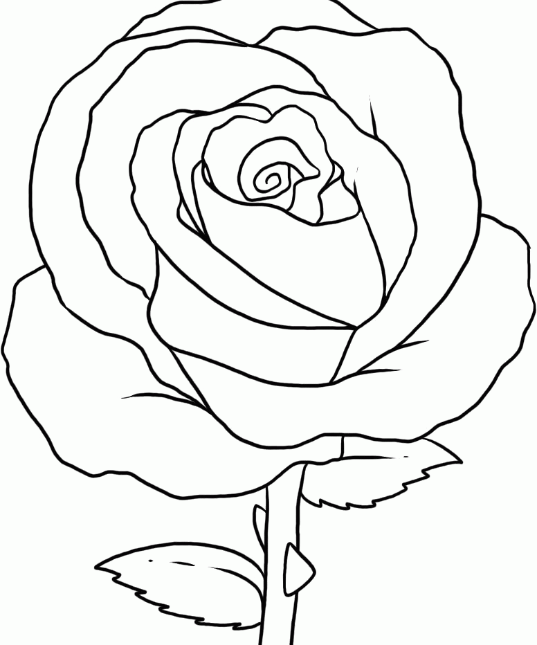 pretty flowers coloring pages free spring coloring pages for adults the country chic flowers coloring pages pretty 