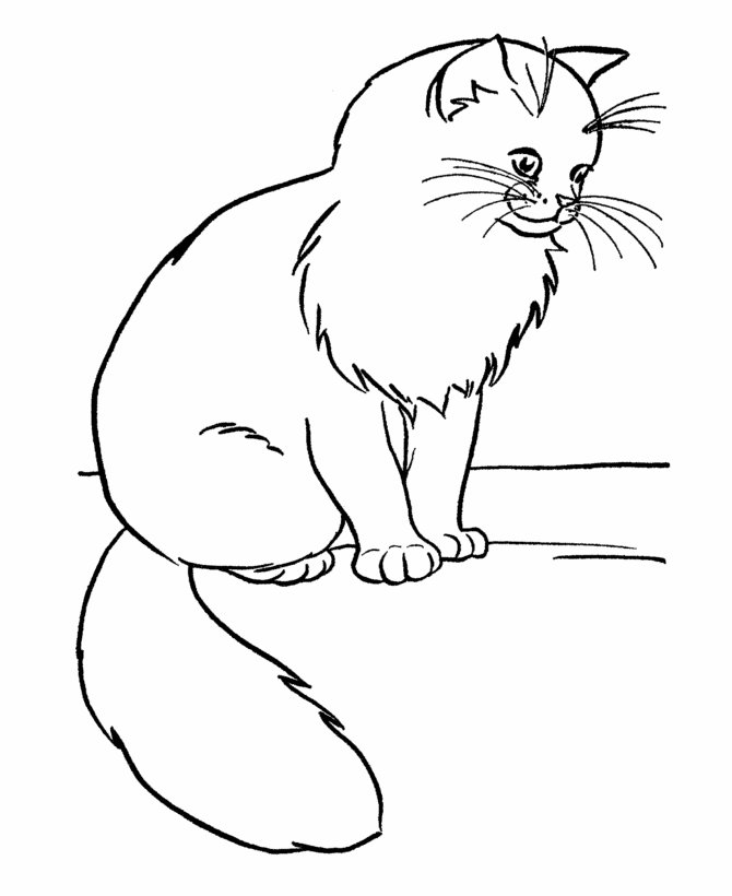 printable cats coloring pages of cats and printable cats 