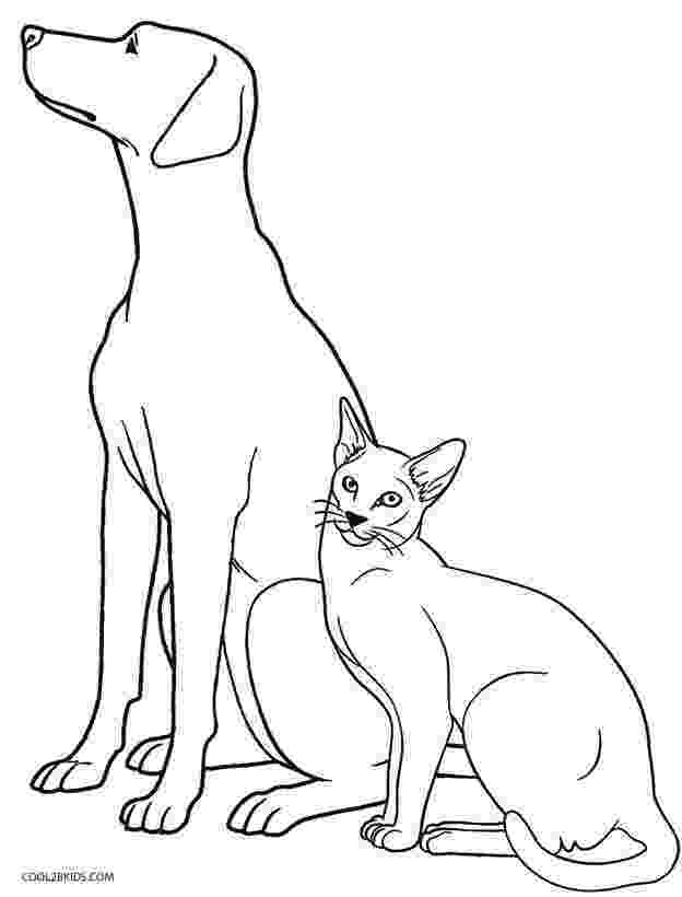 printable coloring pages cats and dogs cat and dog coloring page for kids animal coloring pages cats pages printable and coloring dogs 