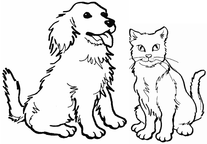 printable coloring pages cats and dogs pics photos dog and cat colouring pages 4707753453487994 dogs printable and cats coloring pages 