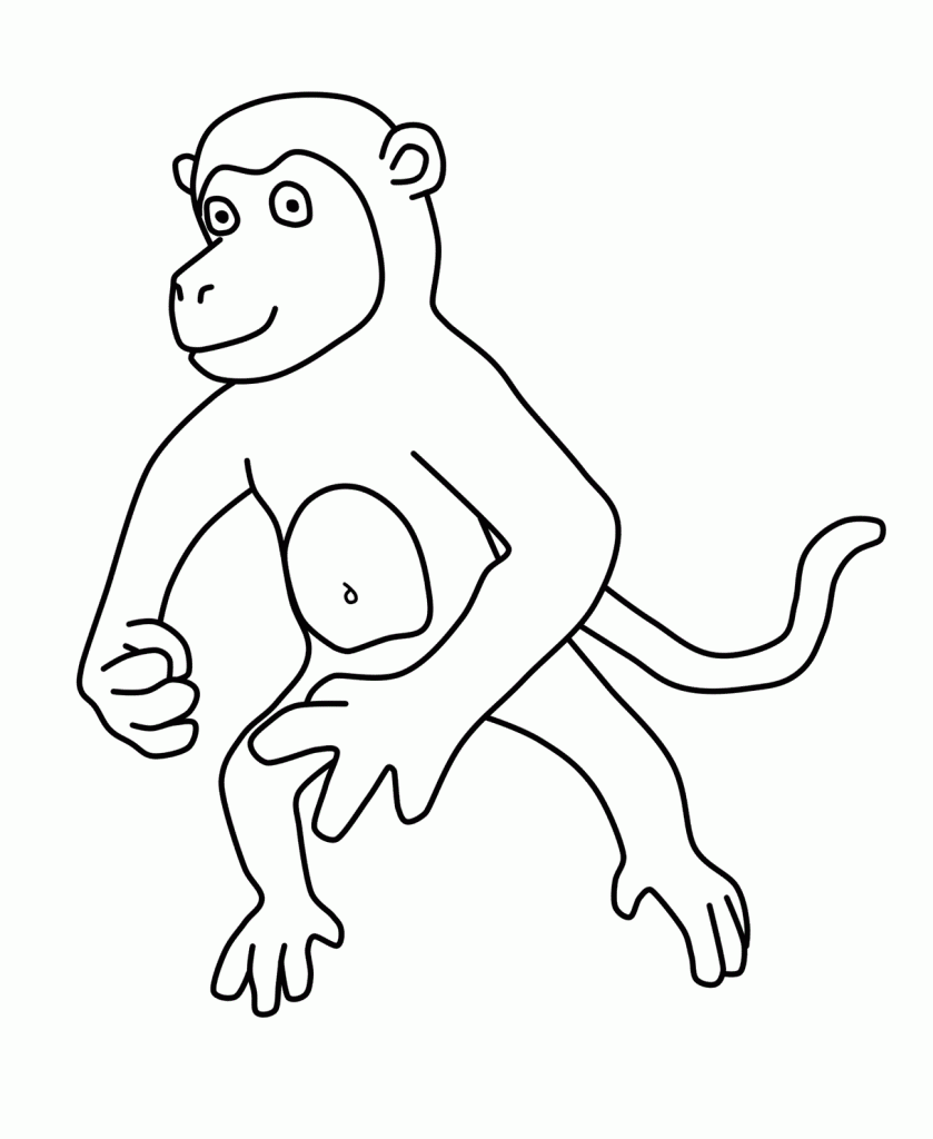 printable coloring pages monkeys printable coloring pages monkeys pages printable monkeys coloring 