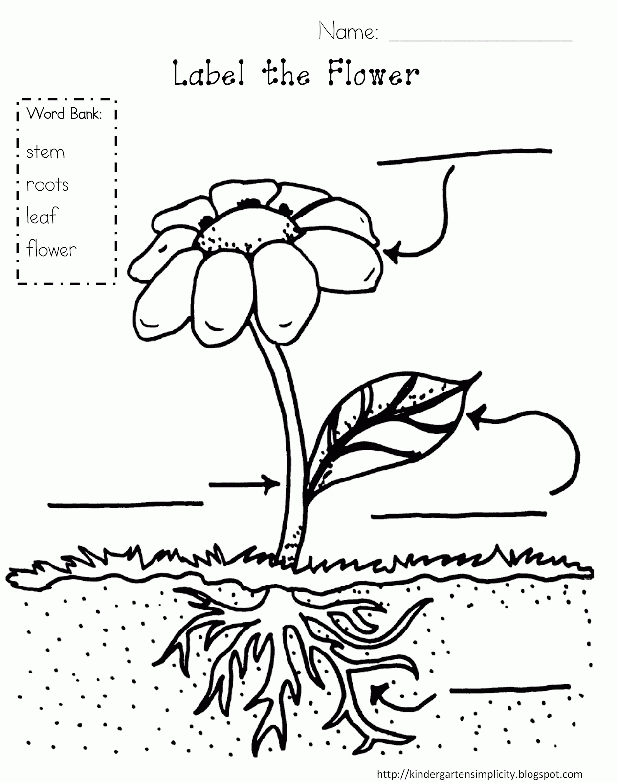 printable coloring pages plants plant coloring page coloring home coloring printable pages plants 