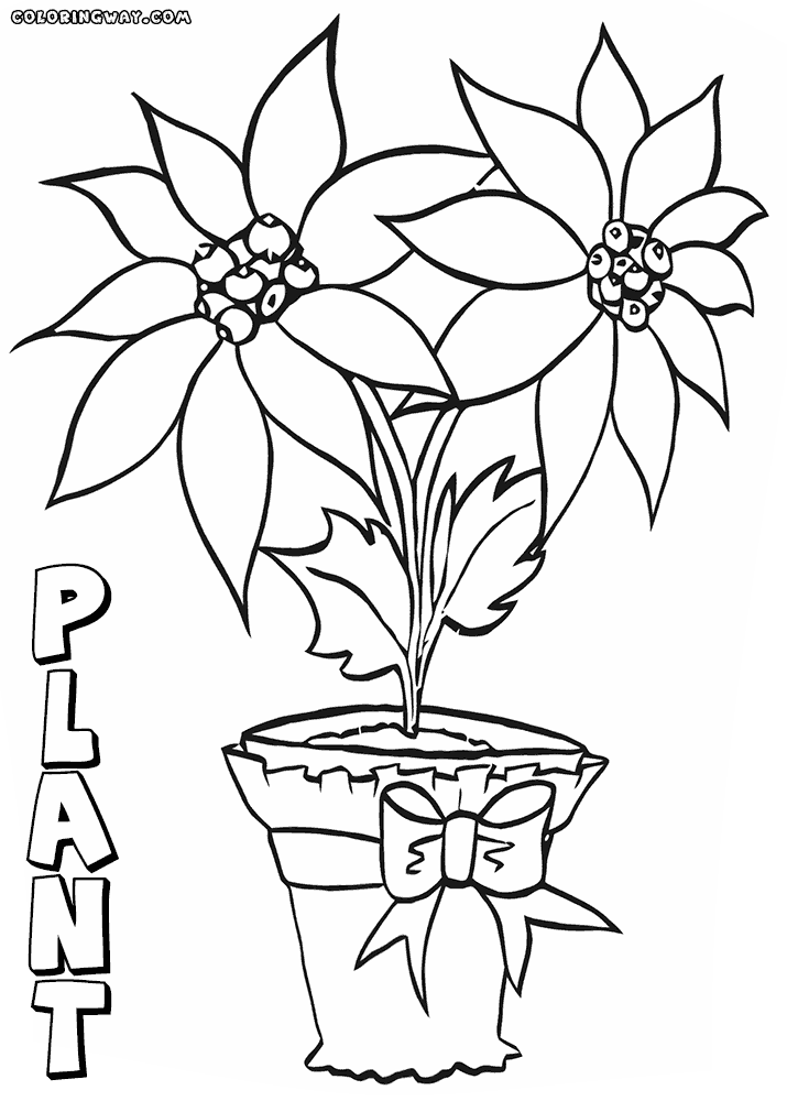 printable coloring pages plants plant coloring pages coloring pages to download and print coloring pages plants printable 