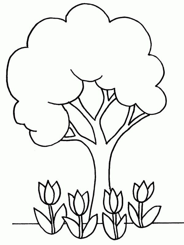 printable coloring pages plants plants coloring pages printable coloring home plants printable pages coloring 