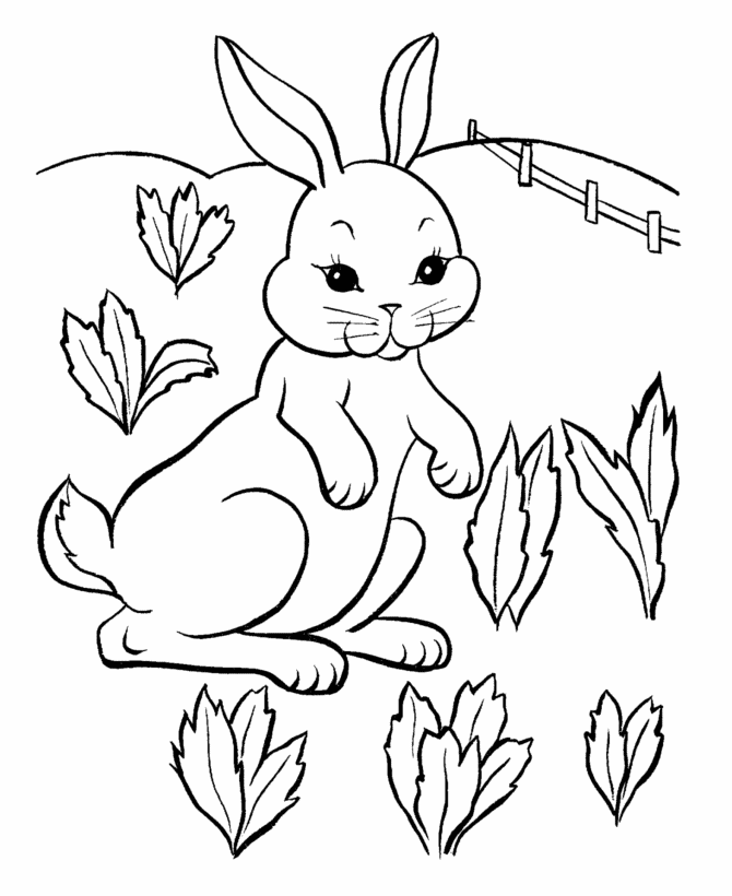 printable coloring rabbit small rabbit coloring page free printable coloring pages coloring printable rabbit 