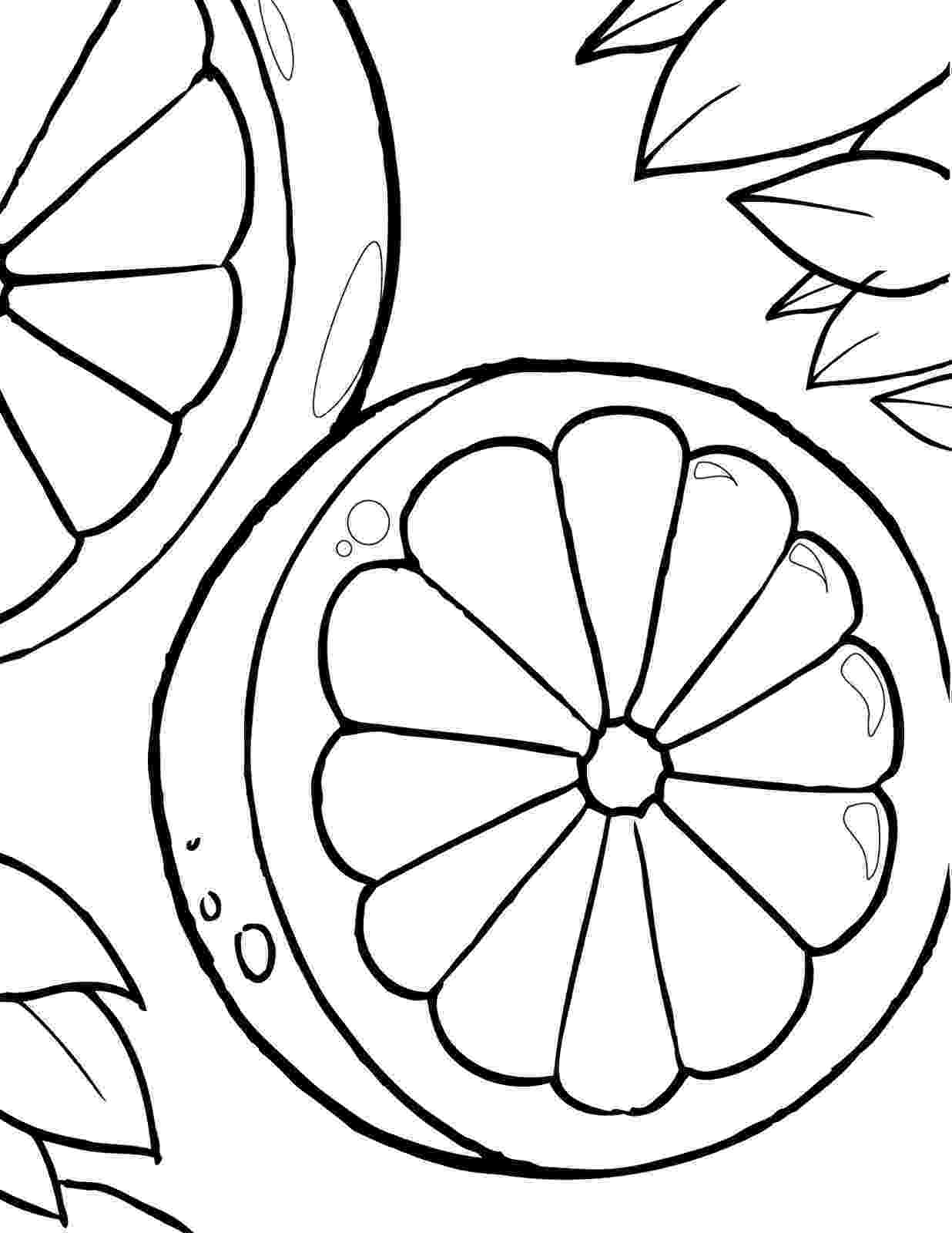 printable colouring sheets free printable dragonfly coloring pages for kids colouring printable sheets 