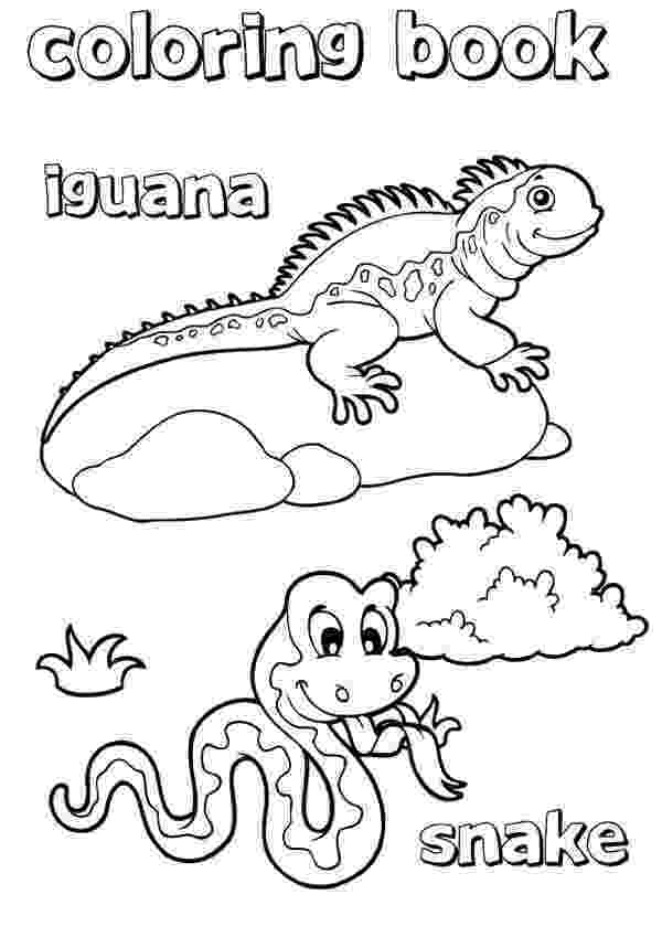 printable pictures of iguanas galapagos land iguana coloring page download print iguanas pictures printable of 