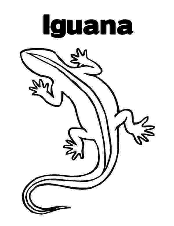 printable pictures of iguanas iguana coloring pages getcoloringpagescom pictures iguanas of printable 