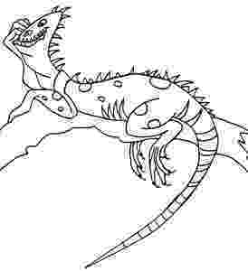 printable pictures of iguanas top 10 free printable lizard coloring pages online printable of pictures iguanas 