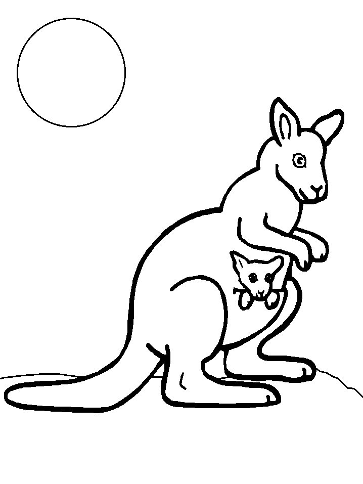 printable pictures of kangaroos free kangaroo coloring pages pictures of kangaroos printable 