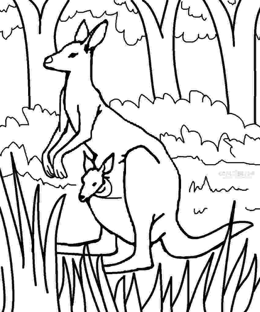 printable pictures of kangaroos free printable kangaroo coloring pages for kids of pictures kangaroos printable 