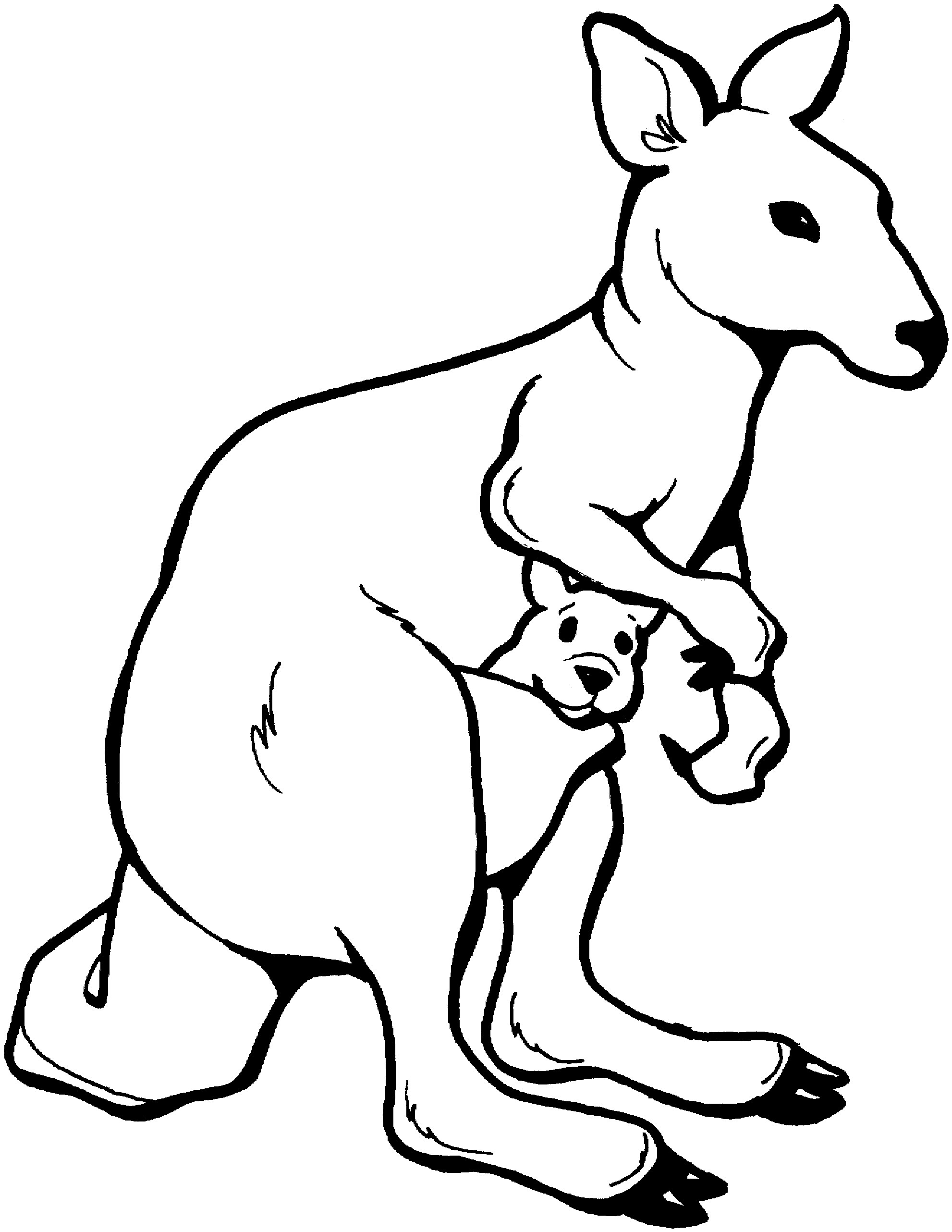 printable pictures of kangaroos kangaroo pattern use the printable outline for crafts of kangaroos printable pictures 