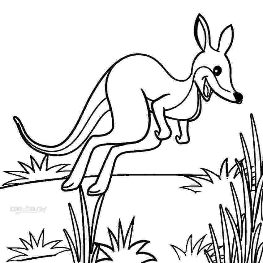 printable pictures of kangaroos printable kangaroo coloring pages for kids cool2bkids of pictures kangaroos printable 1 1