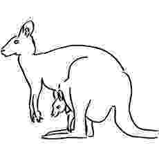 printable pictures of kangaroos top 10 free printable kangaroo coloring pages online pictures printable of kangaroos 