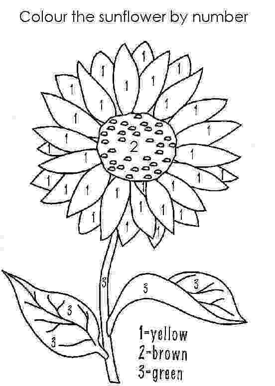 printable pictures to paint for kids free printable rainbow coloring pages for kids rainbow to printable kids for paint pictures 