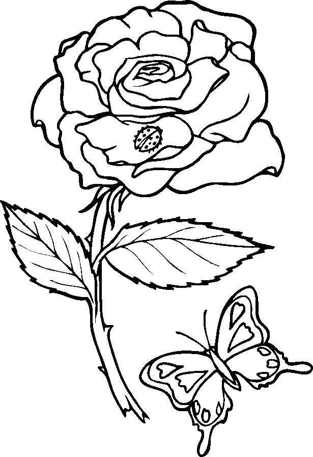 printable rose coloring pages rose coloring page free printable coloring pages pages printable coloring rose 