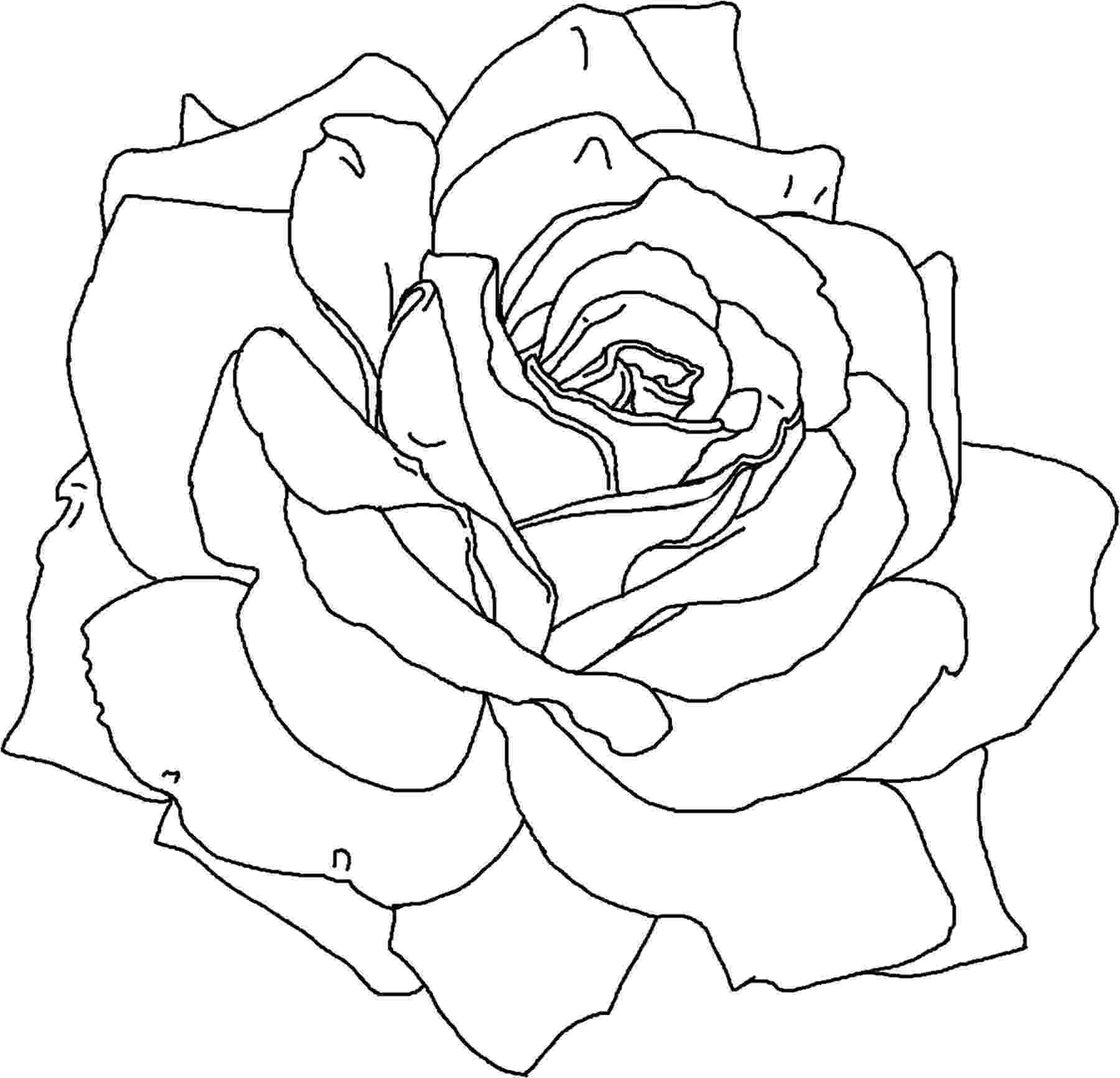 printable rose coloring pages roses coloring pages getcoloringpagescom rose printable pages coloring 