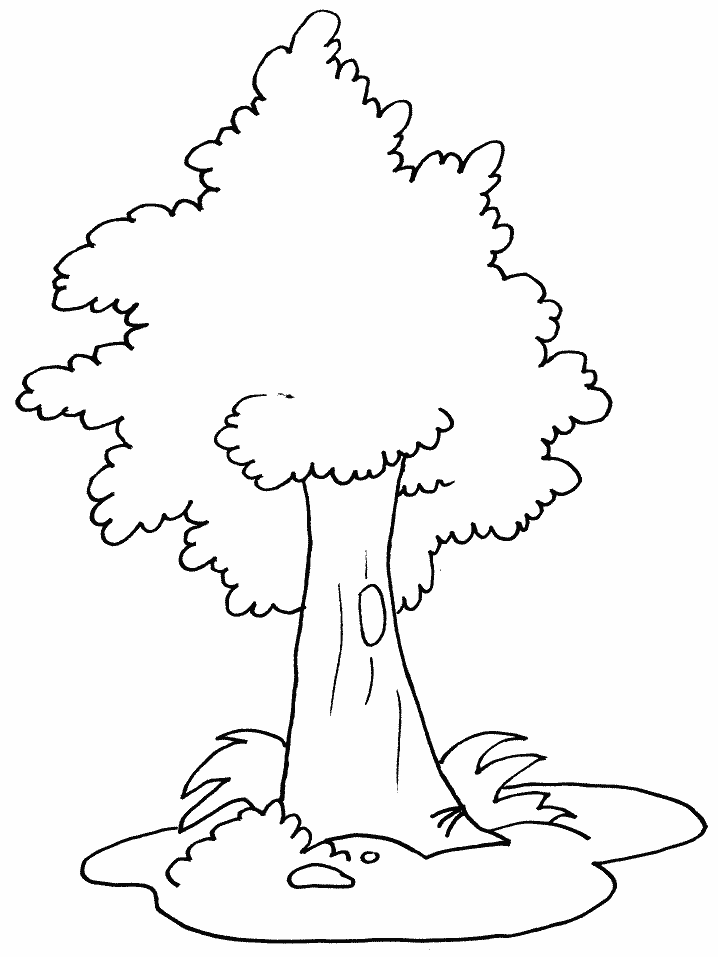 printable tree coloring page free printable tree coloring pages for kids tree page printable coloring 