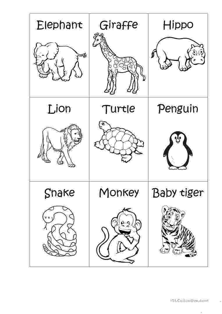 printable zoo animal coloring book baby jungle animals coloring pages free printable coloring book printable animal zoo 