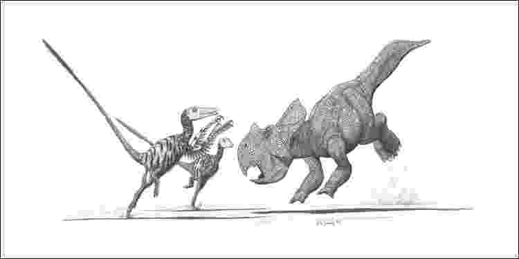 protoceratops pictures velociraptor and protoceratops by jconway on deviantart pictures protoceratops 